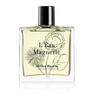 L'Eau Magnetic